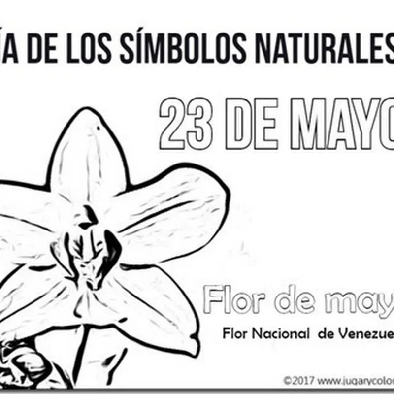 Venezuela 23 de Mayo, símbolos naturales - Jugar y Colorear Venezuela 23 de Mayo, símbolos naturales - Jugar y Colorear