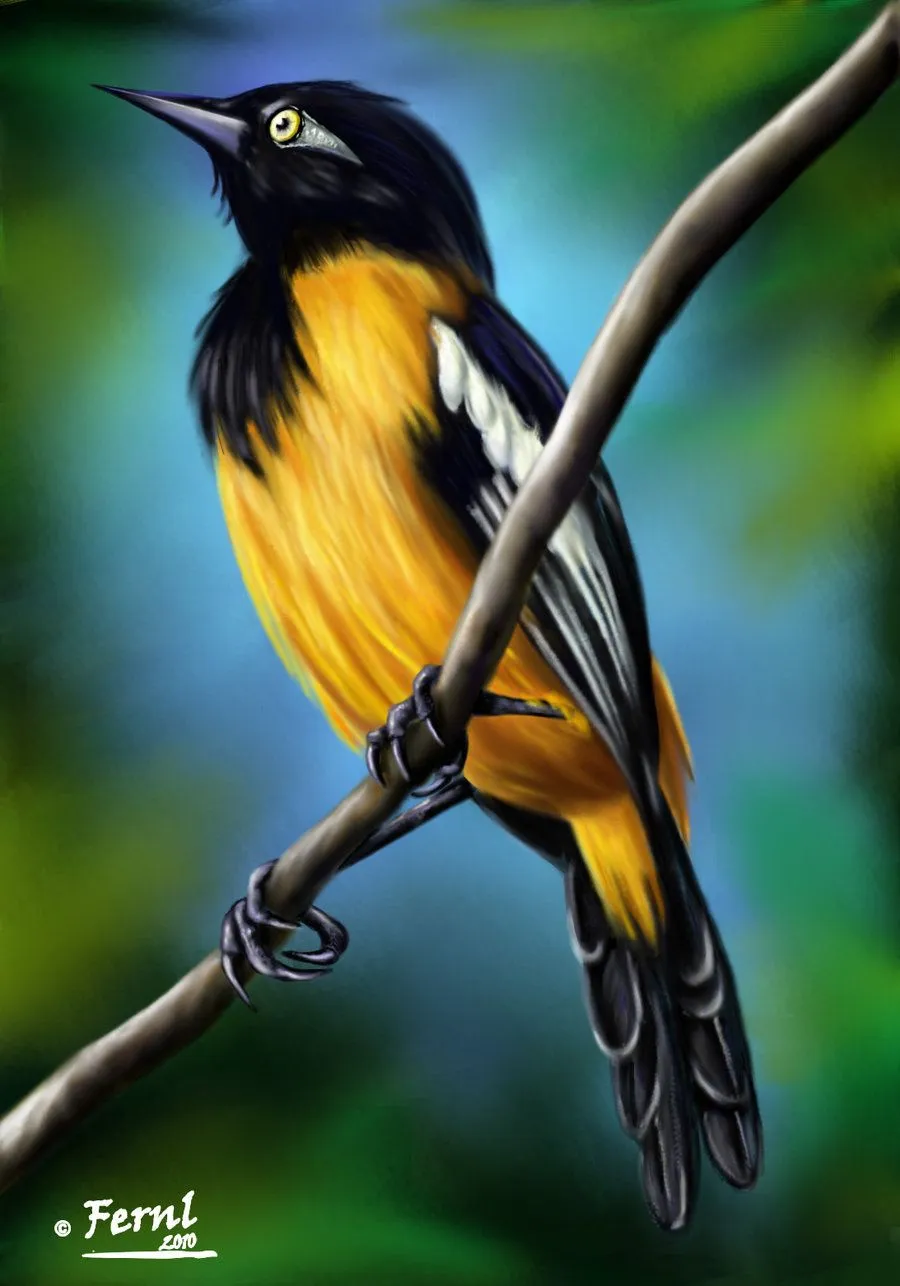 El pajaro turpial - Imagui