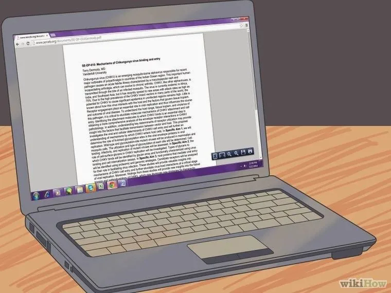 VENEZUELA REPORTA: ¡Toma nota! Cómo recuperarse de la chikungunya