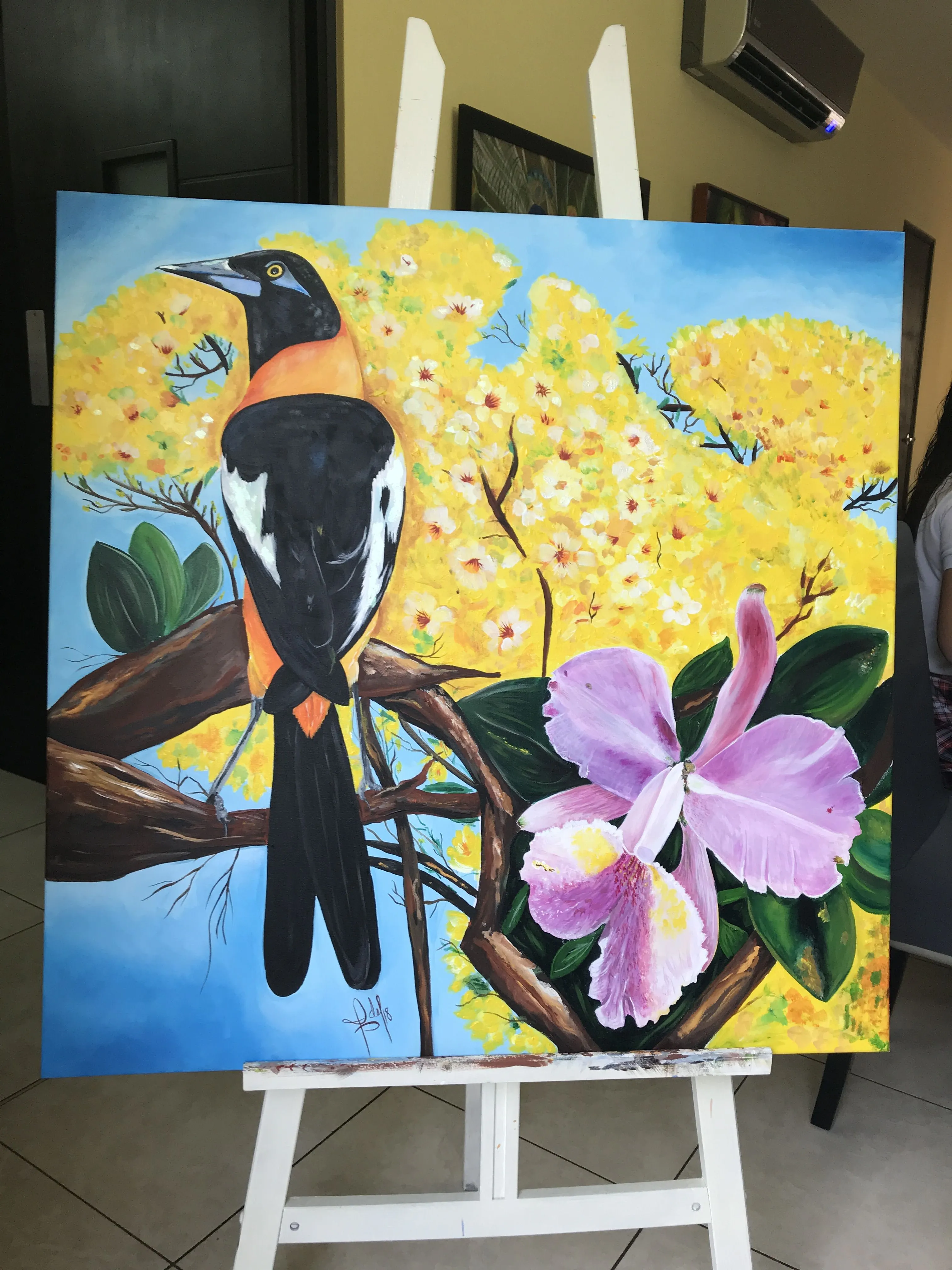 Venezuela. Símbolos patrios, el araguaney, la orquídea y el turpial. | Painting, Mural, Drawings Venezuela. Símbolos patrios, el araguaney, la orquídea y el turpial. | Painting, Mural, Drawings