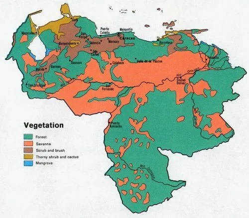 Venezuela: vegetación | La guía de Geografía Venezuela: vegetación | La guía de Geografía