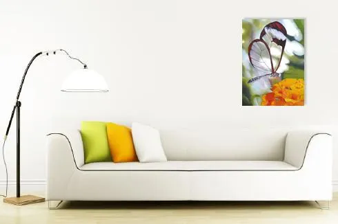 Venta de Cuadros Modernos - 'Mariposa Transparente' por Teresa ... Venta de Cuadros Modernos - 'Mariposa Transparente' por Teresa ...