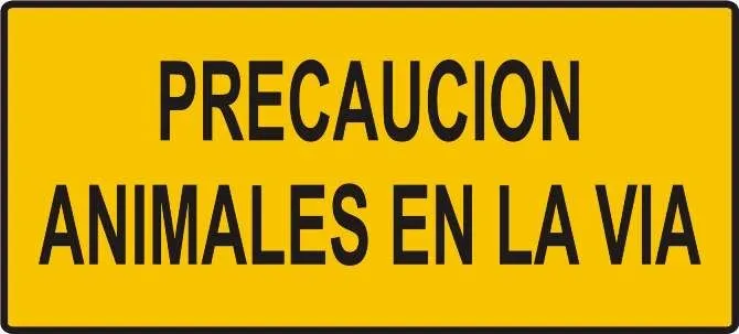 Ventana de Escape | Ventana de Escape | Page 6