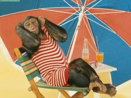 El verano de Perico – Carmen Gil | En Clave de Niños El verano de Perico – Carmen Gil | En Clave de Niños