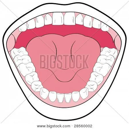 Vectores y fotos en stock de VECTOR - boca abierta mostrando los ...