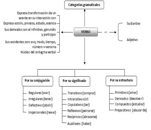 EL VERBO: CONCEPTUALIZACIÓN - VNIVERSITAS