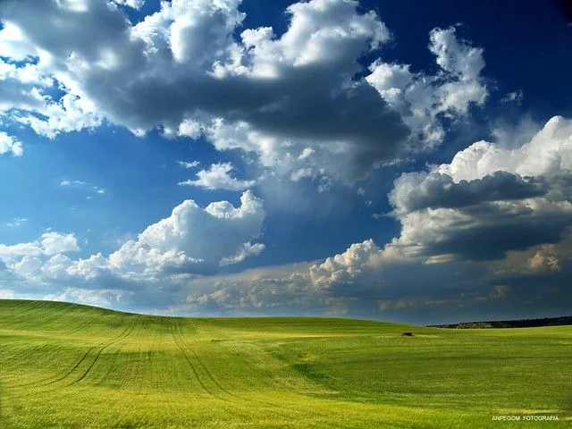 Todo era verde y azúl ...