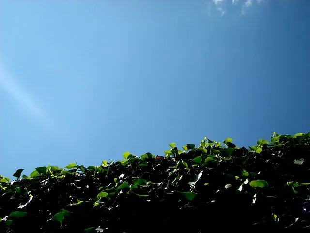 verde y azúl | Flickr - Photo Sharing!