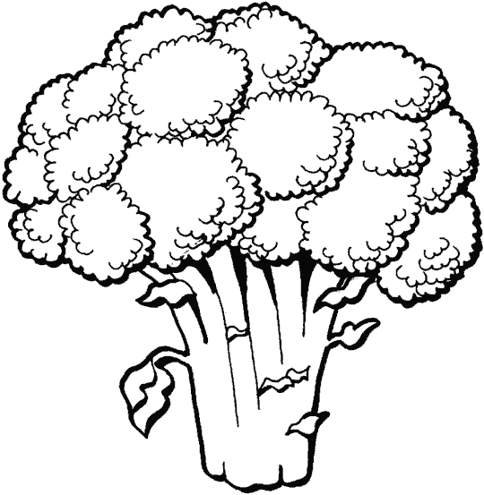 Verduras: Brocoli para colorear