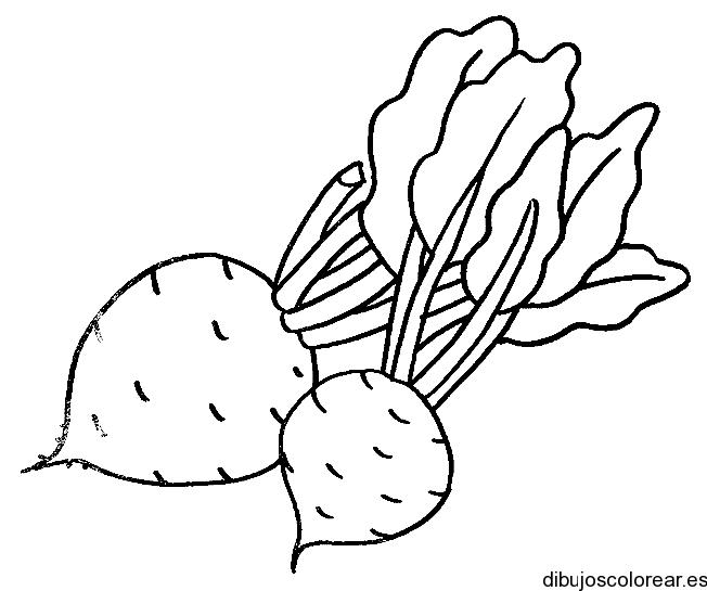 Dibujo de dos rábanos | Dibujos para Colorear Dibujo de dos rábanos | Dibujos para Colorear