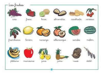 Verduras con nombres y imagenes - Imagui