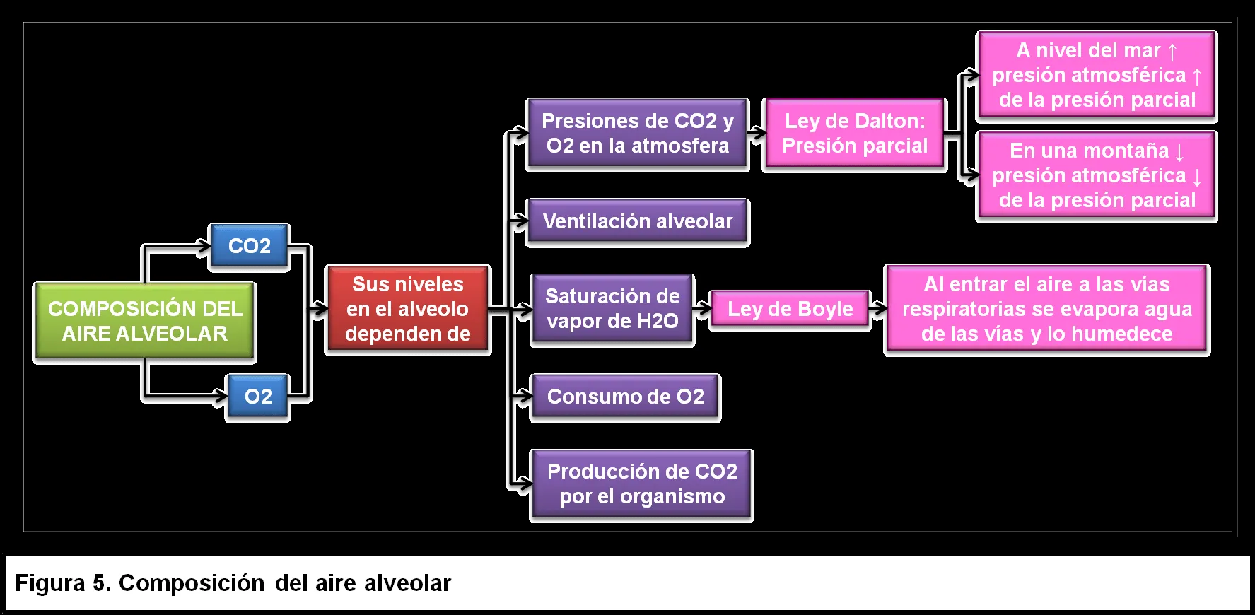 VERÓNICA DURÁN « Blog que pretende plasmar a través de un reporte ... VERÓNICA DURÁN « Blog que pretende plasmar a través de un reporte ...