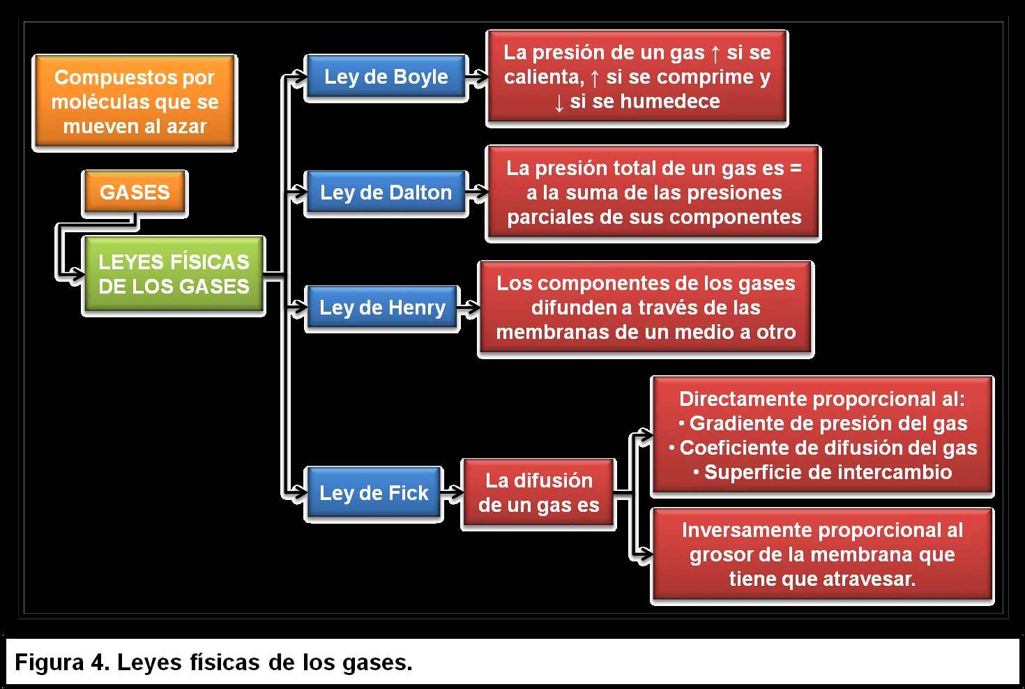 VERÓNICA DURÁN « Blog que pretende plasmar a través de un reporte ... VERÓNICA DURÁN « Blog que pretende plasmar a través de un reporte ...