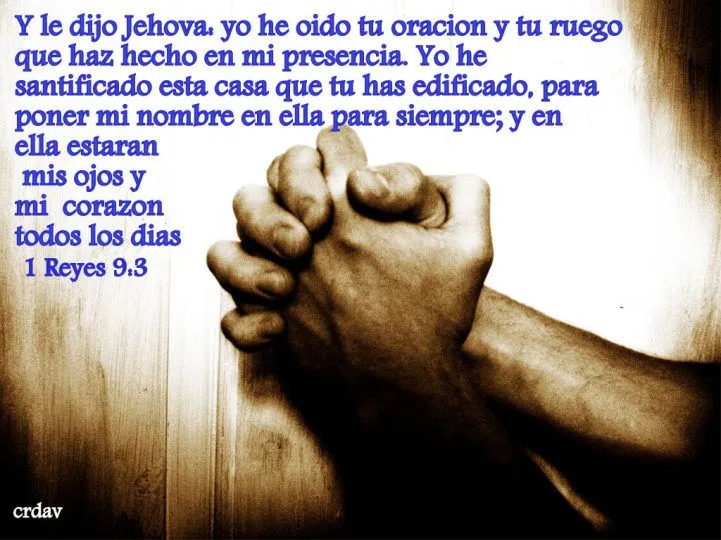 Corona de Vida: octubre 2012