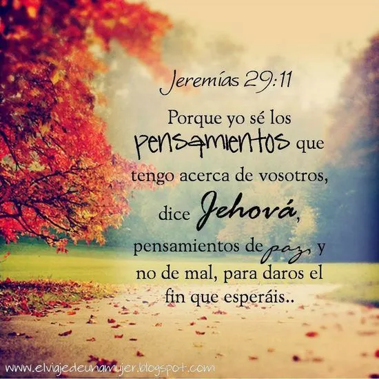 Versiculo biblico | versículos de la Biblia y reflexiones. | Pinterest