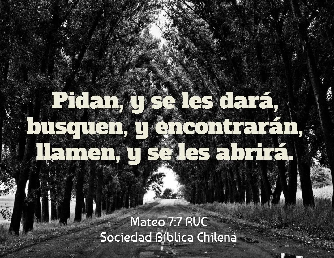 Versículos de la Biblia de ánimo y aliento - Sociedad Bíblica Chilena Versículos de la Biblia de ánimo y aliento - Sociedad Bíblica Chilena