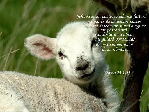 EL pasaje Biblico para hoy 27/05/08 – Salmos 23:1-3 | Asamblea de ... EL pasaje Biblico para hoy 27/05/08 – Salmos 23:1-3 | Asamblea de ...