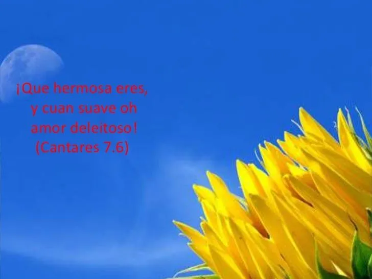 Versículos bíblicos sobre el amor