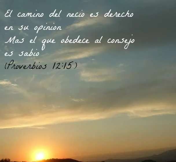 consejo.jpg