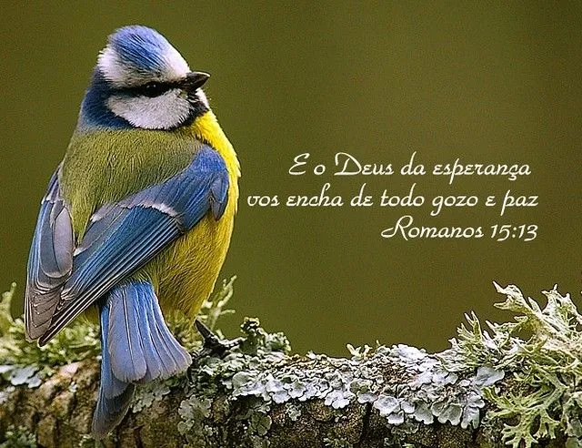 Versículos bíblicos - Wallpaper | Flickr - Photo Sharing!