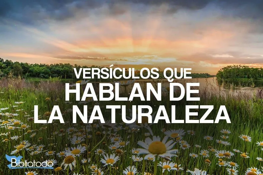 9 VERSÍCULOS QUE HABLAN DE LA NATURALEZA