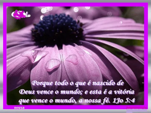 imagenes romanticas con versiculos biblicos - IMG MLP imagenes romanticas con versiculos biblicos - IMG MLP