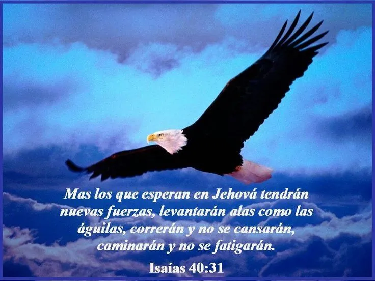Versos de la Biblia | Christian Posters in Spanish Posters ... Versos de la Biblia | Christian Posters in Spanish Posters ...