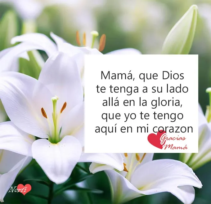 Versos para mi madre que murió, falleció y ahora está en el cielo Versos para mi madre que murió, falleció y ahora está en el cielo