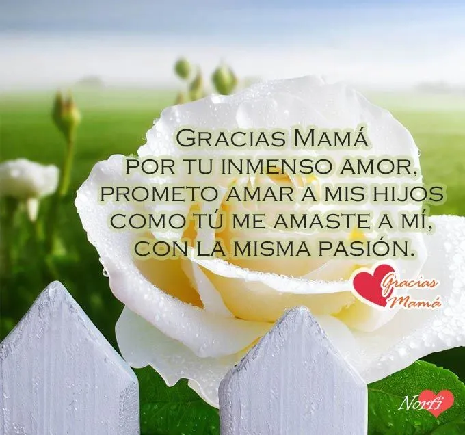 Versos para mi madre que murió, falleció y ahora está en el cielo