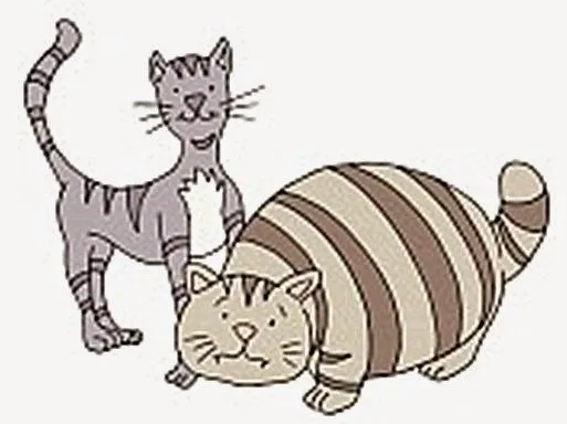 Versos con rimas para niños: Gato flaco y gato gordo Versos con rimas para niños: Gato flaco y gato gordo