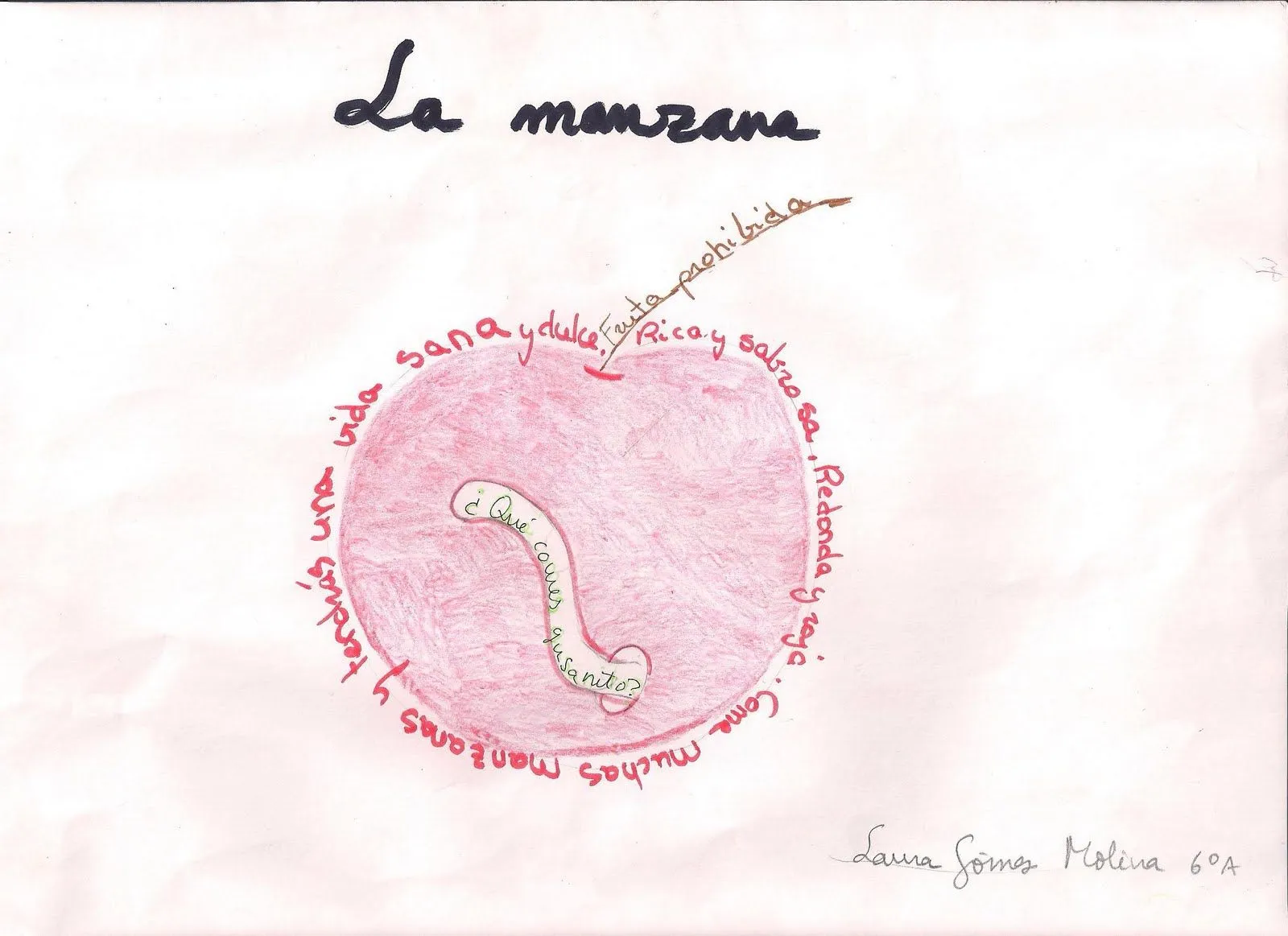 LOS VERSOS DE SEXTO: La Manzana (caligrama) de Laura Gómez Molina