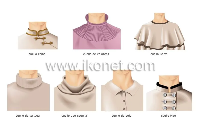 vestido > ropa de mujer > ejemplos de cuellos imagen - Diccionario ... vestido > ropa de mujer > ejemplos de cuellos imagen - Diccionario ...