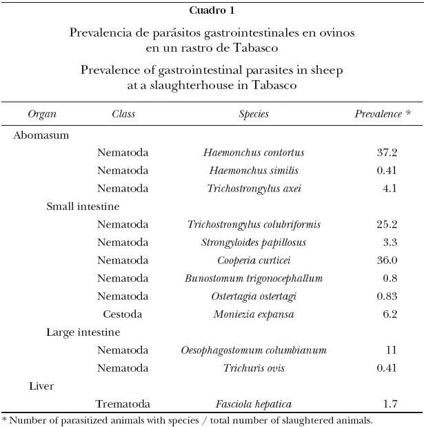 Prevalencia de parásitos gastrointestinales en ovinos sacrificados ...