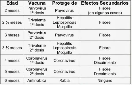 Veterinario Lambayeque: Calendario de Vacunacion del Perro ... Veterinario Lambayeque: Calendario de Vacunacion del Perro ...