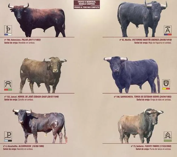 VETERINARIOS TAURINOS DE ANDALUCIA: 12/