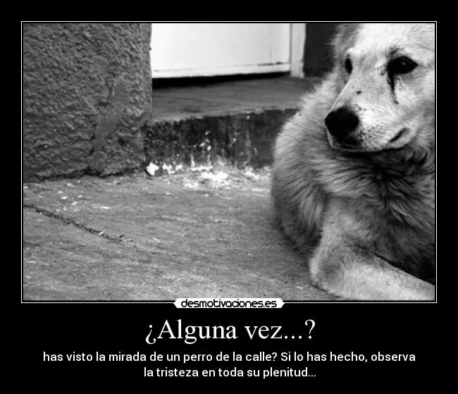 Carteles de Abandono Pag. 8 | Desmotivaciones