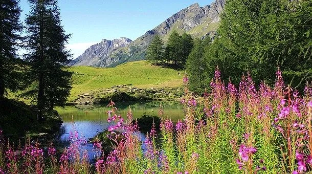 Viajes a Alaska - Catai Tours