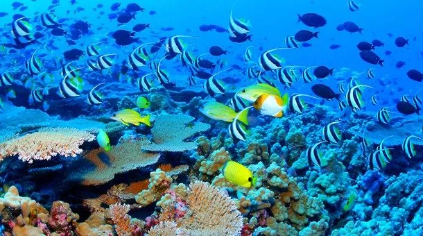 Viajes a Australia - Catai Tours