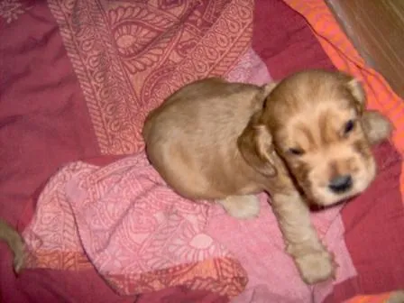 Mi Vida Sin Tu Amor: Capítulo 9 (Segunda Parte)