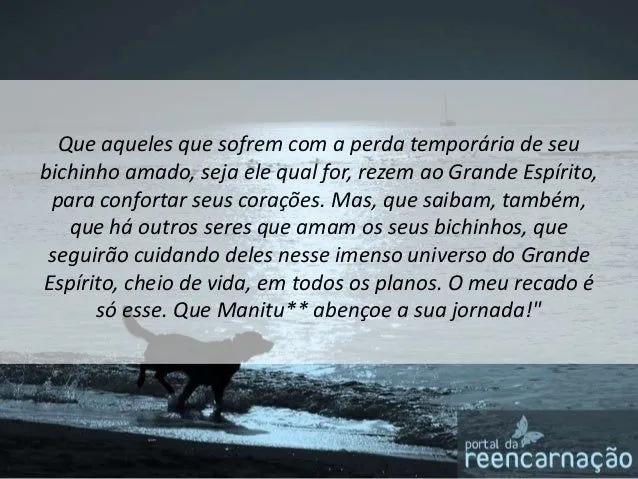 vida-aps-a-morte-dos-animais- ...