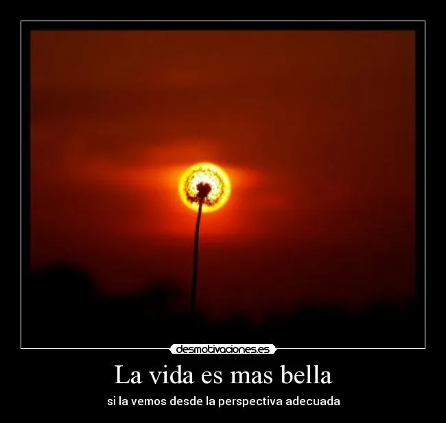 La vida es mas bella | Desmotivaciones