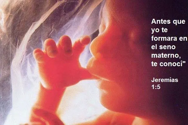 La vida es bella. : Oración para adoptar espiritualmente a un bebe ...
