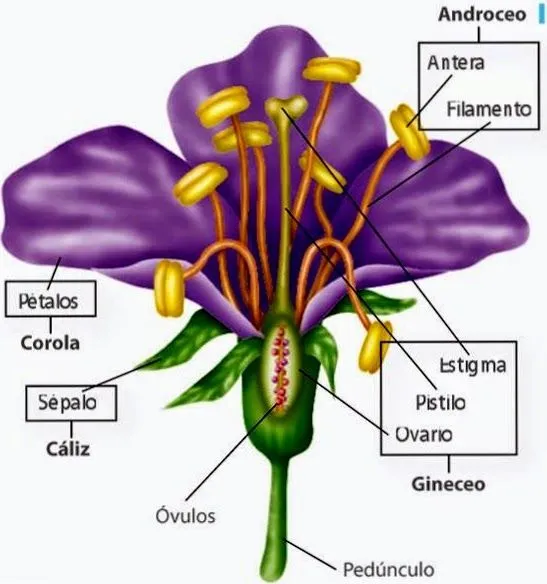 LA VIDA EN LA CIENCIA: agosto 2014