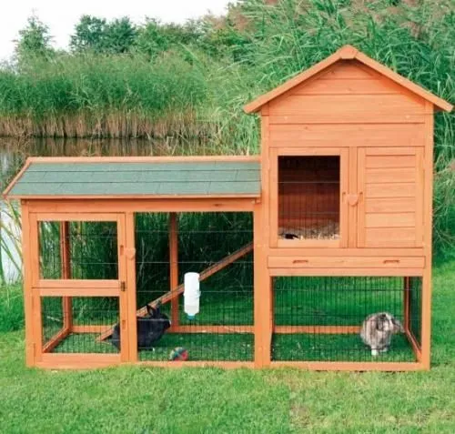 vida de conejos on Pinterest | Rabbit Cages, Bunnies and Outdoor ... vida de conejos on Pinterest | Rabbit Cages, Bunnies and Outdoor ...