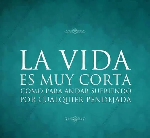 La vida es muy corta como para andar sufriendo por cualquier ...