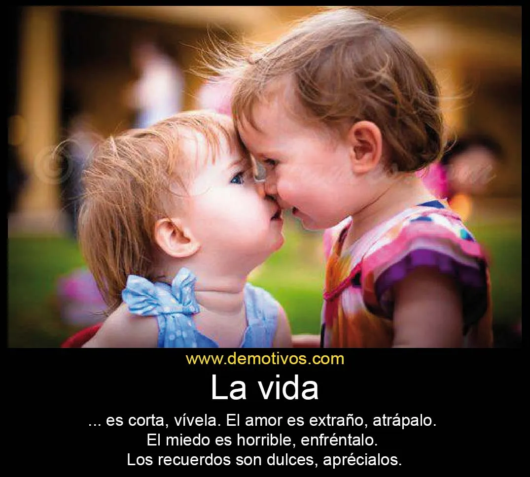La vida es corta Vívela. el amor es Extraño, atrápalo. El miedo es ... La vida es corta Vívela. el amor es Extraño, atrápalo. El miedo es ...