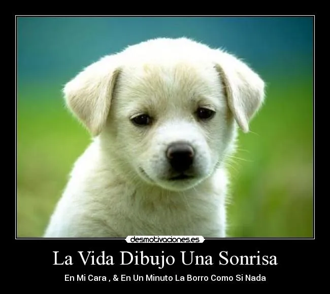 La Vida Dibujo Una Sonrisa | Desmotivaciones La Vida Dibujo Una Sonrisa | Desmotivaciones
