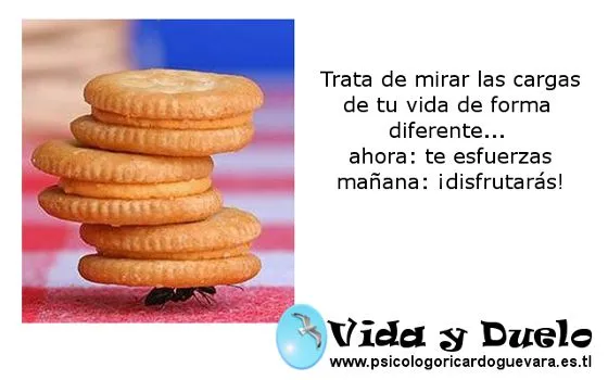 VIDA Y DUELO - Ayuda cuando muere un ser querido - POSTALES PARA ... VIDA Y DUELO - Ayuda cuando muere un ser querido - POSTALES PARA ...