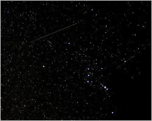 Vida gatuna • Lluvia de estrellas de las Oriónidas durante estos... Vida gatuna • Lluvia de estrellas de las Oriónidas durante estos...