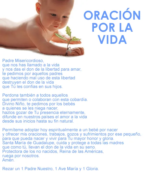 La Vida Del Ser Humano: ORACION DE LA VIDA